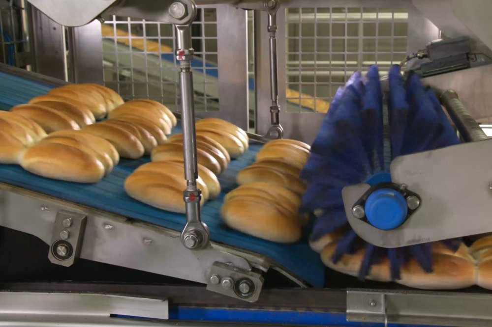 Decoration line Decoration line